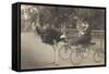 Matron in Ostrich Cart-null-Framed Stretched Canvas