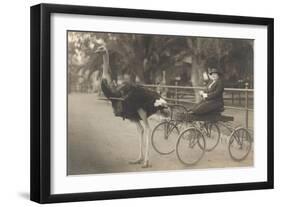 Matron in Ostrich Cart-null-Framed Art Print