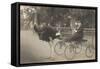 Matron in Ostrich Cart-null-Framed Stretched Canvas