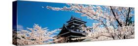Matsue Castle Cherry Blossoms Shimane Japan-null-Stretched Canvas