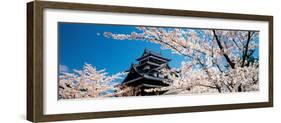 Matsue Castle Cherry Blossoms Shimane Japan-null-Framed Photographic Print