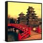 Matsumoto Castle, Japan-Neale Cousland-Framed Stretched Canvas