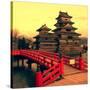 Matsumoto Castle, Japan-Neale Cousland-Stretched Canvas