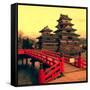 Matsumoto Castle, Japan-Neale Cousland-Framed Stretched Canvas