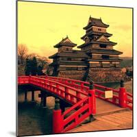 Matsumoto Castle, Japan-Neale Cousland-Mounted Photographic Print