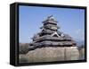 Matsumoto Castle, Nagano Ken, Japan-Adina Tovy-Framed Stretched Canvas