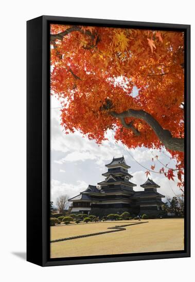 Matsumoto-Jo (Wooden Castle) in Autumn, Matsumoto, Central Honshu, Japan, Asia-Stuart Black-Framed Stretched Canvas