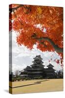Matsumoto-Jo (Wooden Castle) in Autumn, Matsumoto, Central Honshu, Japan, Asia-Stuart Black-Stretched Canvas