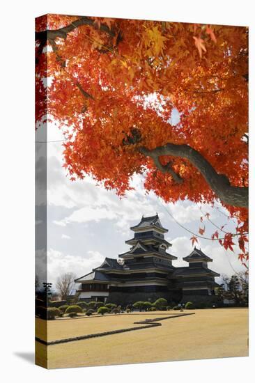 Matsumoto-Jo (Wooden Castle) in Autumn, Matsumoto, Central Honshu, Japan, Asia-Stuart Black-Stretched Canvas