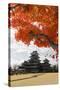 Matsumoto-Jo (Wooden Castle) in Autumn, Matsumoto, Central Honshu, Japan, Asia-Stuart Black-Stretched Canvas