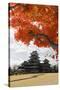 Matsumoto-Jo (Wooden Castle) in Autumn, Matsumoto, Central Honshu, Japan, Asia-Stuart Black-Stretched Canvas