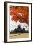 Matsumoto-Jo (Wooden Castle) in Autumn, Matsumoto, Central Honshu, Japan, Asia-Stuart Black-Framed Premium Photographic Print