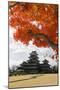 Matsumoto-Jo (Wooden Castle) in Autumn, Matsumoto, Central Honshu, Japan, Asia-Stuart Black-Mounted Premium Photographic Print