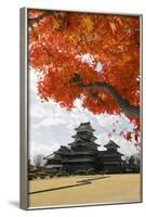 Matsumoto-Jo (Wooden Castle) in Autumn, Matsumoto, Central Honshu, Japan, Asia-Stuart Black-Framed Photographic Print