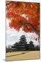 Matsumoto-Jo (Wooden Castle) in Autumn, Matsumoto, Central Honshu, Japan, Asia-Stuart Black-Mounted Photographic Print