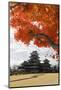 Matsumoto-Jo (Wooden Castle) in Autumn, Matsumoto, Central Honshu, Japan, Asia-Stuart Black-Mounted Photographic Print