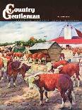 "Cattle in Barnyard," Country Gentleman Cover, October 1, 1945-Matt Clark-Giclee Print