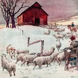 "Herding Sheep into Barn,"February 1, 1946-Matt Clark-Giclee Print