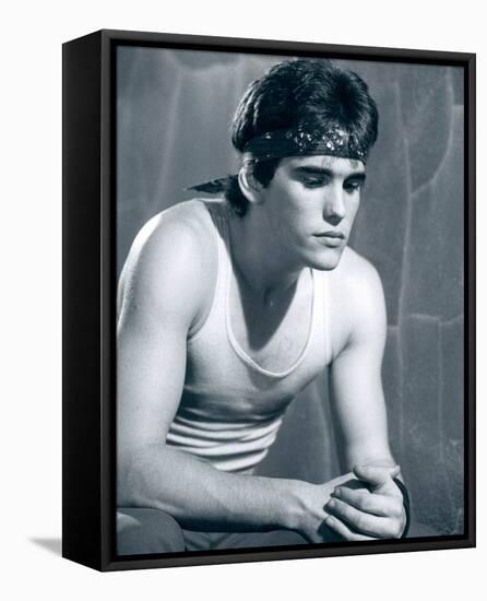 Matt Dillon-null-Framed Stretched Canvas