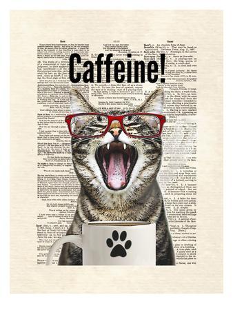 Cat Caffeine