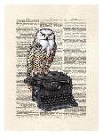 Typewriter Owl-Matt Dinniman-Art Print