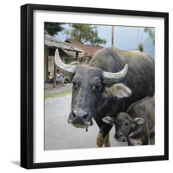 Premium Photographic Print, , large