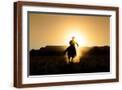 Brown Frame