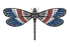 Totem Dragonfly-Matt James-Framed Art Print