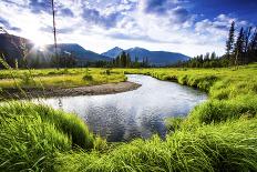 Two Grazing Moose on the Upper Colorado River in Rocky Mountain National Park, Colorado-Matt Jones-Photographic Print