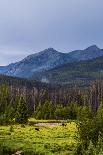 Small Section of the Upper Colorado River in Rocky Mountain National Park-Matt Jones-Photographic Print