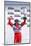 Matt Neal, Nissan driver, celebrates victory, 1999 British touring cars-null-Mounted Photographic Print