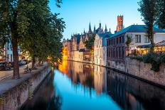 Reflection of Hamburg's Town Hall (Rathaus) and Christmas Market at blue hour, Hamburg, Germany-Matt Parry-Photographic Print