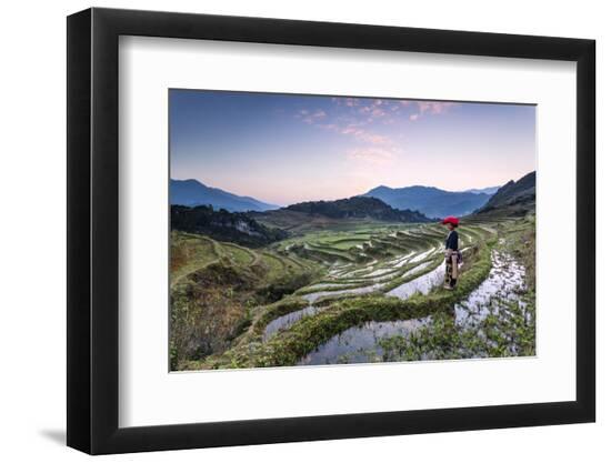Premium Photographic Print, , large