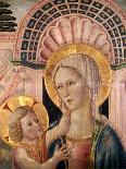 Madonna and Child in Front of a Scallop Niche-Matteo da Gualdo-Giclee Print