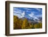 Matterhorn and Larch Tree Forest in Autumn, Valais, Swiss Alps, Switzerland, Europe-Patrick Frischknecht-Framed Photographic Print