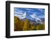 Matterhorn and Larch Tree Forest in Autumn, Valais, Swiss Alps, Switzerland, Europe-Patrick Frischknecht-Framed Photographic Print