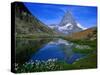 Matterhorn and the Riffelsee, Valais, Switzerland-Gareth McCormack-Stretched Canvas