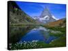 Matterhorn and the Riffelsee, Valais, Switzerland-Gareth McCormack-Stretched Canvas