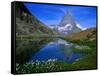 Matterhorn and the Riffelsee, Valais, Switzerland-Gareth McCormack-Framed Stretched Canvas