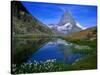 Matterhorn and the Riffelsee, Valais, Switzerland-Gareth McCormack-Stretched Canvas