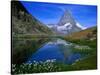 Matterhorn and the Riffelsee, Valais, Switzerland-Gareth McCormack-Stretched Canvas