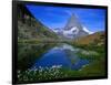 Matterhorn and the Riffelsee, Valais, Switzerland-Gareth McCormack-Framed Photographic Print