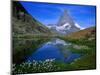 Matterhorn and the Riffelsee, Valais, Switzerland-Gareth McCormack-Mounted Photographic Print