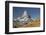 Matterhorn East Wall, Zermatt, Valais, Switzerland-Rainer Mirau-Framed Photographic Print