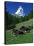 Matterhorn Towering Above Green Pastures, Zermatt, Valais, Switzerland-Tomlinson Ruth-Stretched Canvas