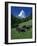 Matterhorn Towering Above Green Pastures, Zermatt, Valais, Switzerland-Tomlinson Ruth-Framed Photographic Print