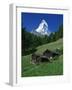 Matterhorn Towering Above Green Pastures, Zermatt, Valais, Switzerland-Tomlinson Ruth-Framed Photographic Print