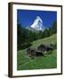 Matterhorn Towering Above Green Pastures, Zermatt, Valais, Switzerland-Tomlinson Ruth-Framed Photographic Print