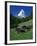 Matterhorn Towering Above Green Pastures, Zermatt, Valais, Switzerland-Tomlinson Ruth-Framed Photographic Print