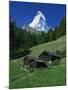 Matterhorn Towering Above Green Pastures, Zermatt, Valais, Switzerland-Tomlinson Ruth-Mounted Photographic Print